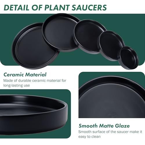 D'vine Dev Modern Round 5.4 Inch Ceramic Plant Pot Saucer, Planter Pot Drainage Tray for Indoor Plants, Set of 2, Matte Black, 97-T-B-22 - Image 4