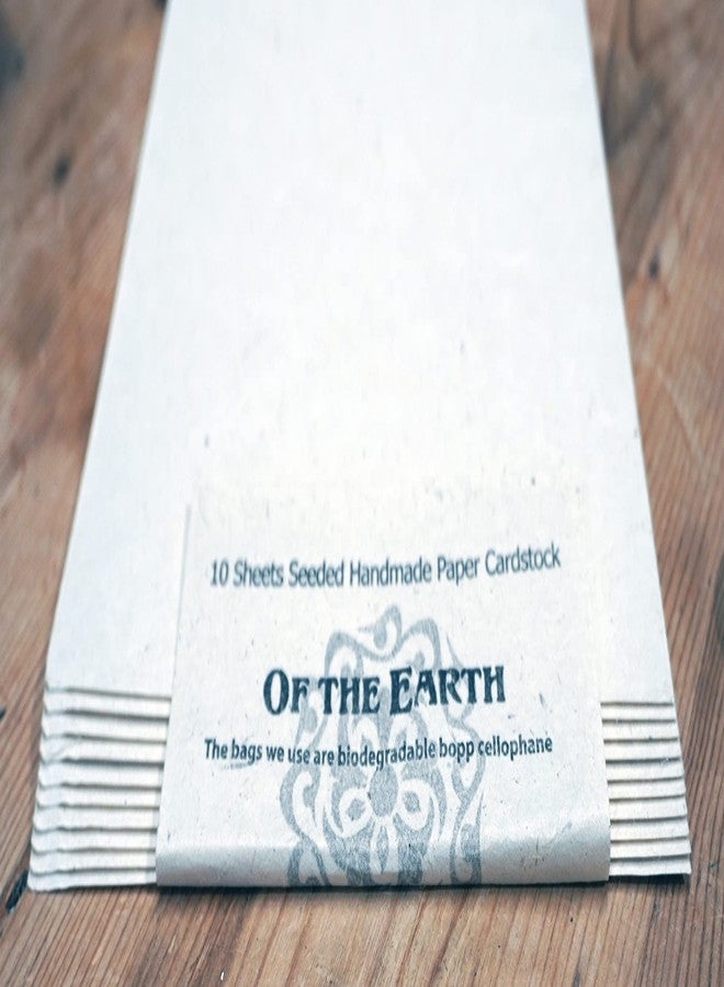 Of The Earth 10 Seed Embedded Recycled Lotka Cardstock Handmade Paper - Image 2