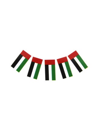UAE Flag Banner 10 Flags, 21x14cm Each, Showcase Your Patriotism with Elegance - pzsku/Z9220C7BE1F03579A5921Z/45/_/1701935681/201fde9d-d030-4a02-bac9-a1418fd8e721