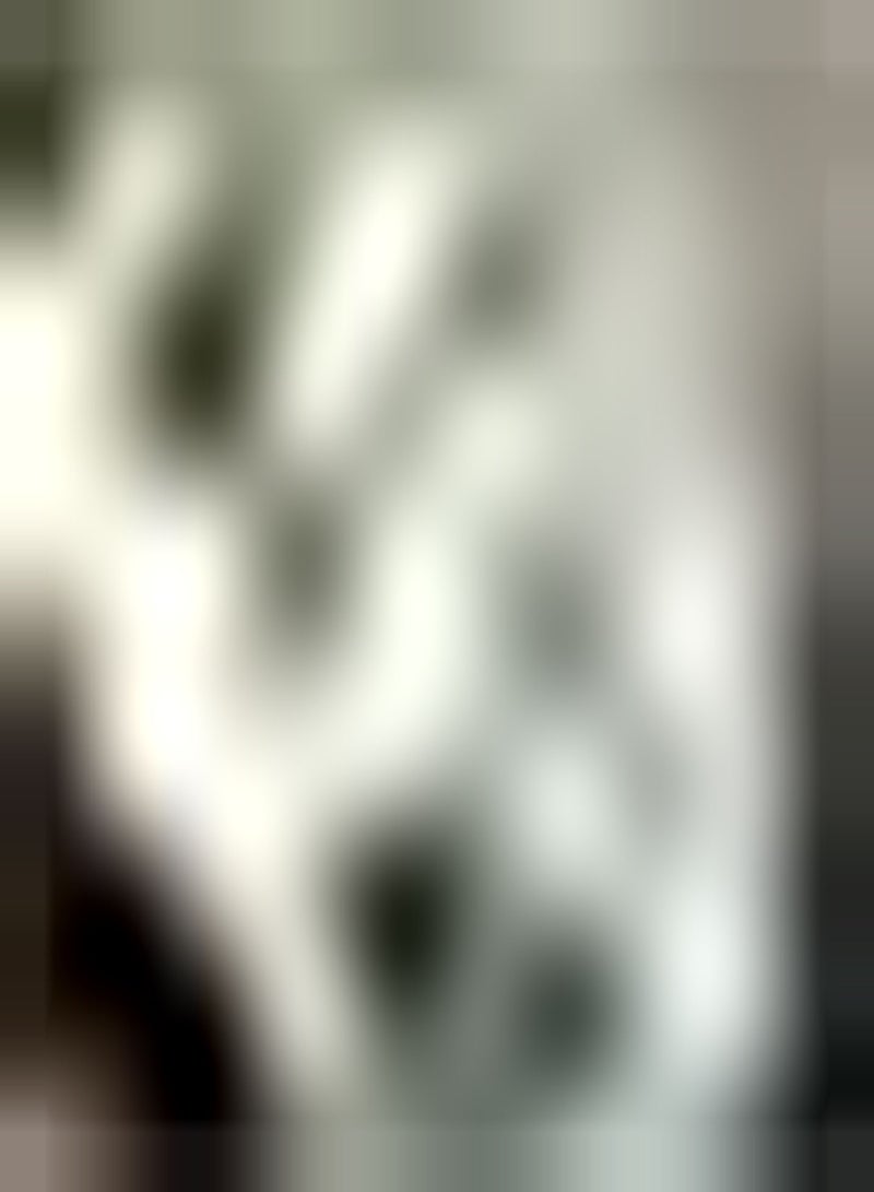 GGOOT 2 weiße Amaryllis Zwiebeln mehrjährig winterhart für Garten Terrasse Hof Bepflanzung Schnittblumen Gartenarbeit Verschönerung der Umgebung hoher Zierwert - Image 1