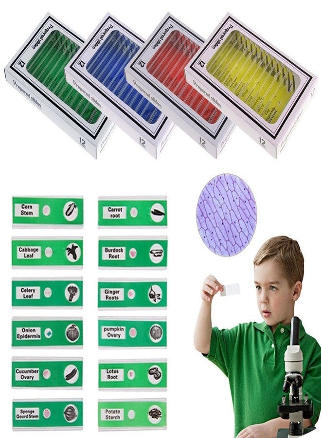 Bysameyee Kids Microscope Prepared Slides, Plastic 48pcs Animals Insects Plants Flowers Sample Specimens for Students Homeschooling Biology Science Programs - Image 3