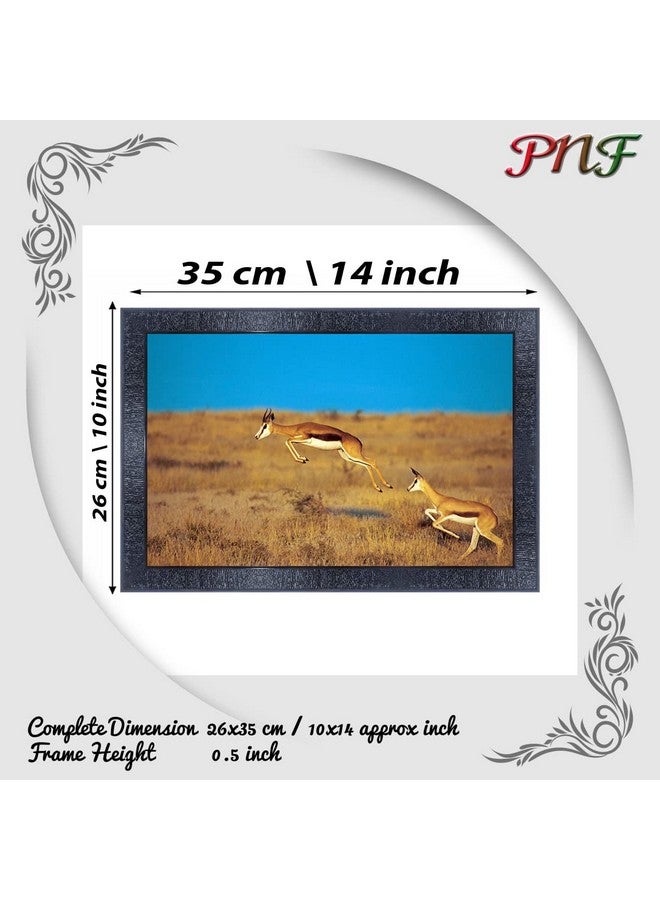 pnf Poster And Frames Deer Wall Painting With Acrylic Sheet | For Living Room, Bedroom | Home Decoration Item | Best Gifting Option (10 * 14inch,Multicolour,Synthetic) 3606 - Image 2