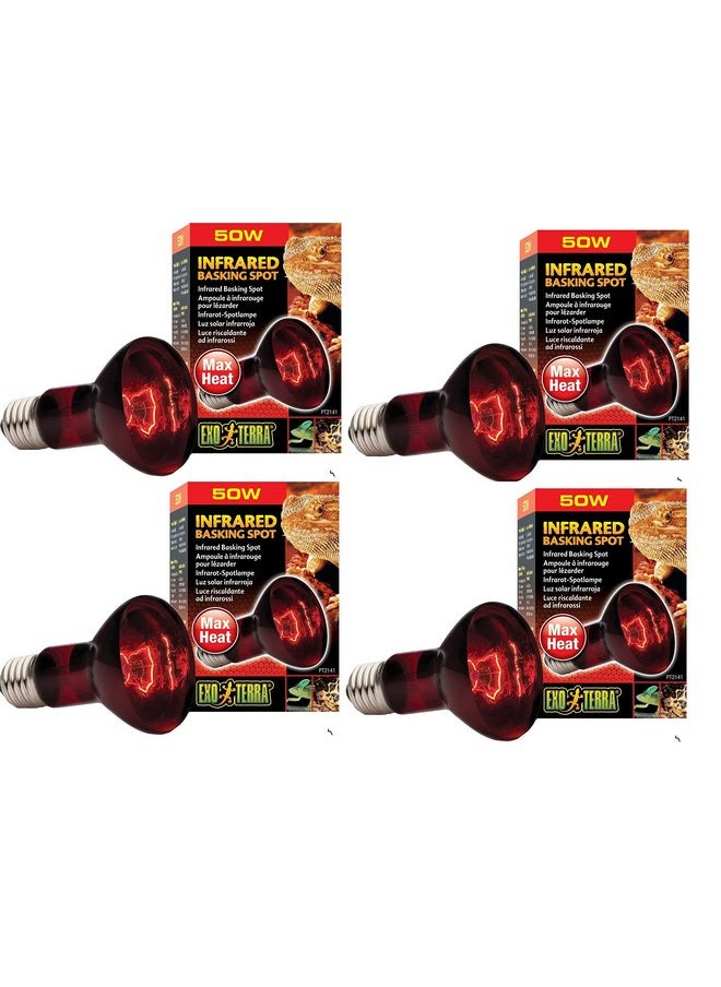إكسو تيرا مصباح الأشعة تحت الحمراء Exo Terra Heat-Glo، 50 واط/120 فولت (عبوة من 4 قطع) 