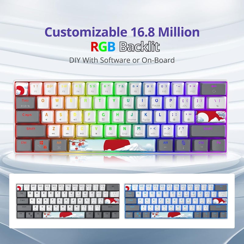 Owpkeenthy لوحة مفاتيح ميكانيكية RGB بنسبة 60% من مع مفاتيح حمراء، لوحة مفاتيح ألعاب سلكية فائقة الصغر مع إضاءة خلفية وأغطية مفاتيح PBT مصبوغة بالحرارة لنظام ويندوز/ماك/كمبيوتر (أبيض/مفتاح أحمر) - Image 2