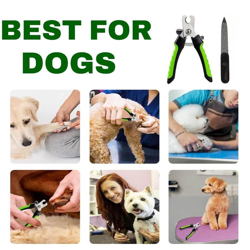 Roforuf Dog Nail Cutter and Filer for Pets Stainless Steel Grooming Tool for Dogs & Puppies Safe, Travel-Friendly, Easy to Use Nail Clipper for Daily Use - Image 3