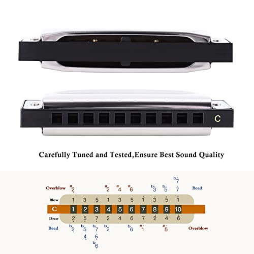 East top Mouth Organ C Key 10 Holes 20 Tones Diatonic Harmonica Mouth Organ Musical Instrument for Beginners, Professionals and Kids with Silver Cover, T10-3-C - Image 4
