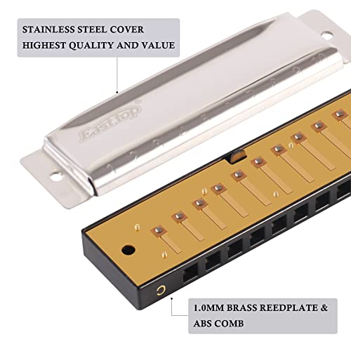 East top Mouth Organ C Key 10 Holes 20 Tones Diatonic Harmonica Mouth Organ Musical Instrument for Beginners, Professionals and Kids with Silver Cover, T10-3-C - Image 2