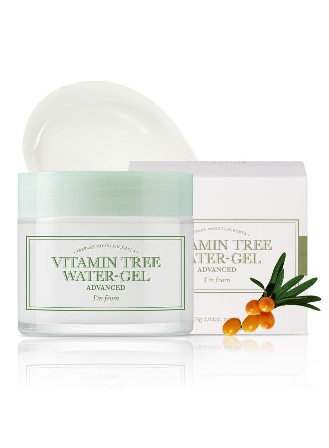 I'M FROM Vitamin Tree Water Gel, 75g, Korean moisturizer, Niacinamide, Panthenol, Vitamin C, hydrating, soothing - Image 1