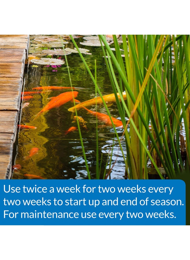 API POND-ZYME SLUDGE DESTROYER Pond Cleaner With Natural Pond Bacteria And Barley, 8oz container (146) - Image 4