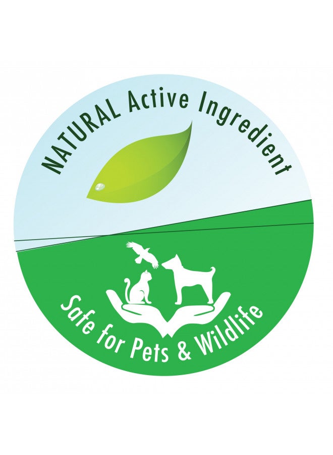 API POND-ZYME SLUDGE DESTROYER Pond Cleaner With Natural Pond Bacteria And Barley, 8oz container (146) - Image 5