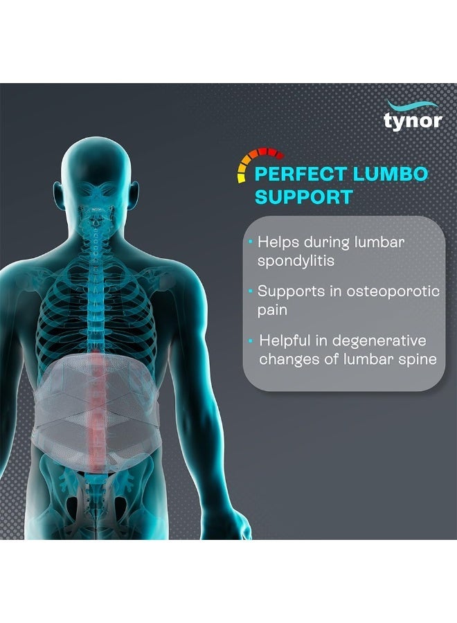 TYNOR Lumbo support, Grey, Universal Size, 1 Unit - Image 2