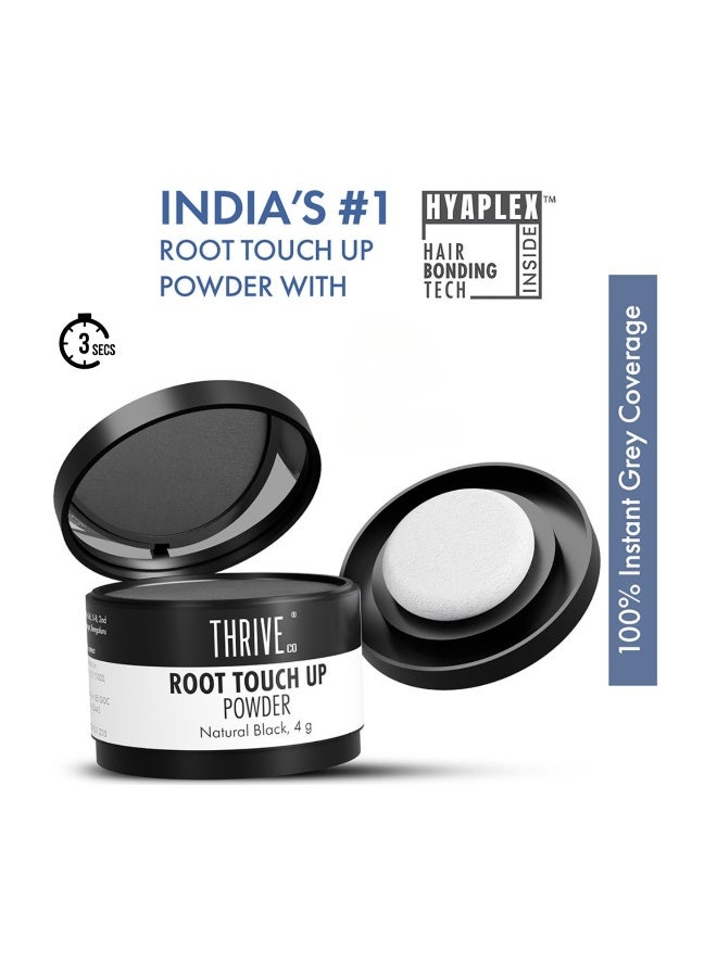 THRIVECO Hair Root Touch Up Powder 4g Instant Root Cover-Up & Grey Concealer Powder for Dark Hair Quick-Fix Colour Touch-Up for Roots, Thinning Areas & Hairlines Buildable Long-Lasting Hair Root Concealer Powder - Image 1
