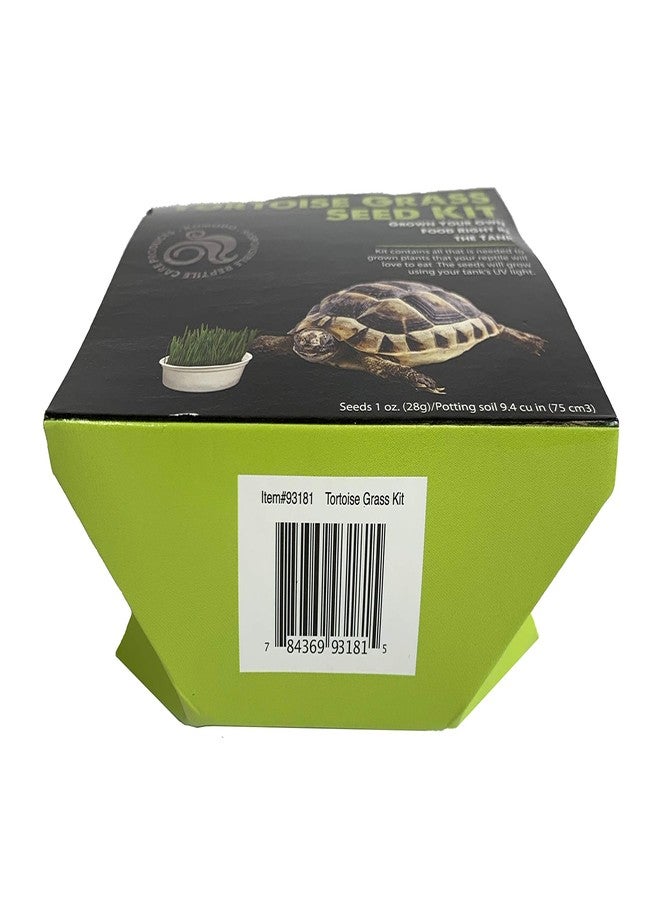 Komodo Grow Your Own Tortoise Grass - Image 3