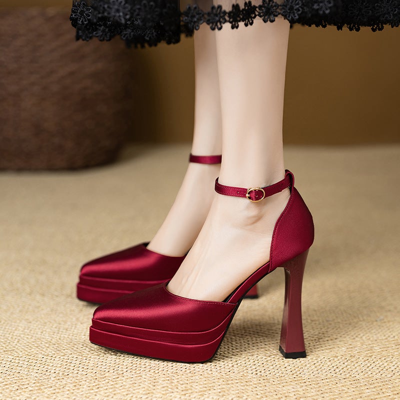 French Fashion Platform Platform Fashion Single Shoes Pointed Toe Small Height Increasing Elegant Hollow Comfortable Super High Heels - Image 5
