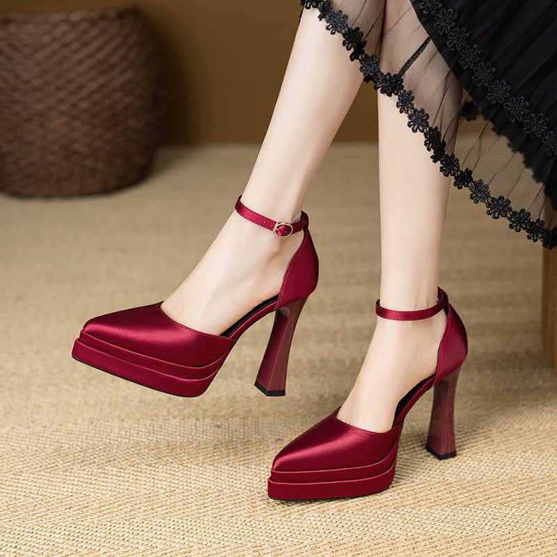 French Fashion Platform Platform Fashion Single Shoes Pointed Toe Small Height Increasing Elegant Hollow Comfortable Super High Heels - Image 3