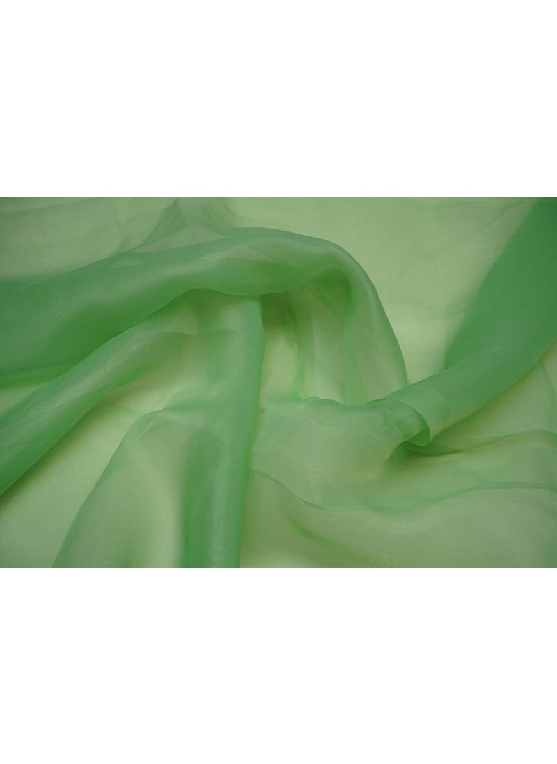 Pehnava Fab studio Pehnava Fab Studio Tissue Organza Fabric for Dress Cloth Material for Use in Fancy Garments Making Frocks GownsDresses and Also Wrapping Party Wedding DecorationsLight Green2 Meter  - Image 1
