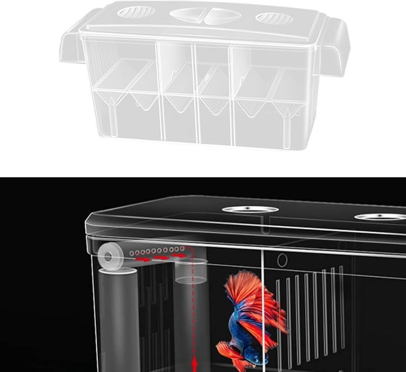 ثلاث غرف نوم حوض تربية معلق حوض أسماك صندوق عزل حاضنة صندوق تفريخ واضح صندوق تفريخ جدار قابل للفصل - Image 3