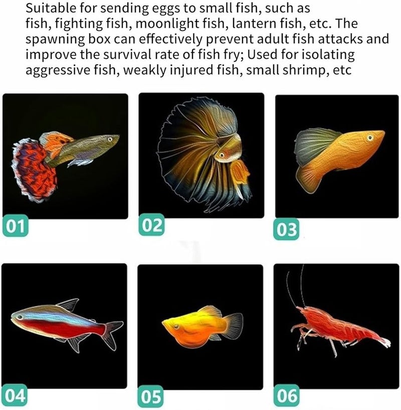 ثلاث غرف نوم حوض تربية معلق حوض أسماك صندوق عزل حاضنة صندوق تفريخ واضح صندوق تفريخ جدار قابل للفصل - Image 5