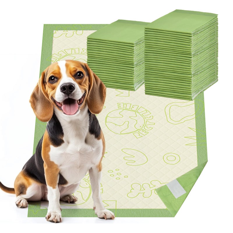 Dog Pee Pads with Adhesive Strips 50Count 19X30 Extra Large Disposable Pee Pads for Dogs NonSlip Puppy Training Pads for CrateCageCarrier
