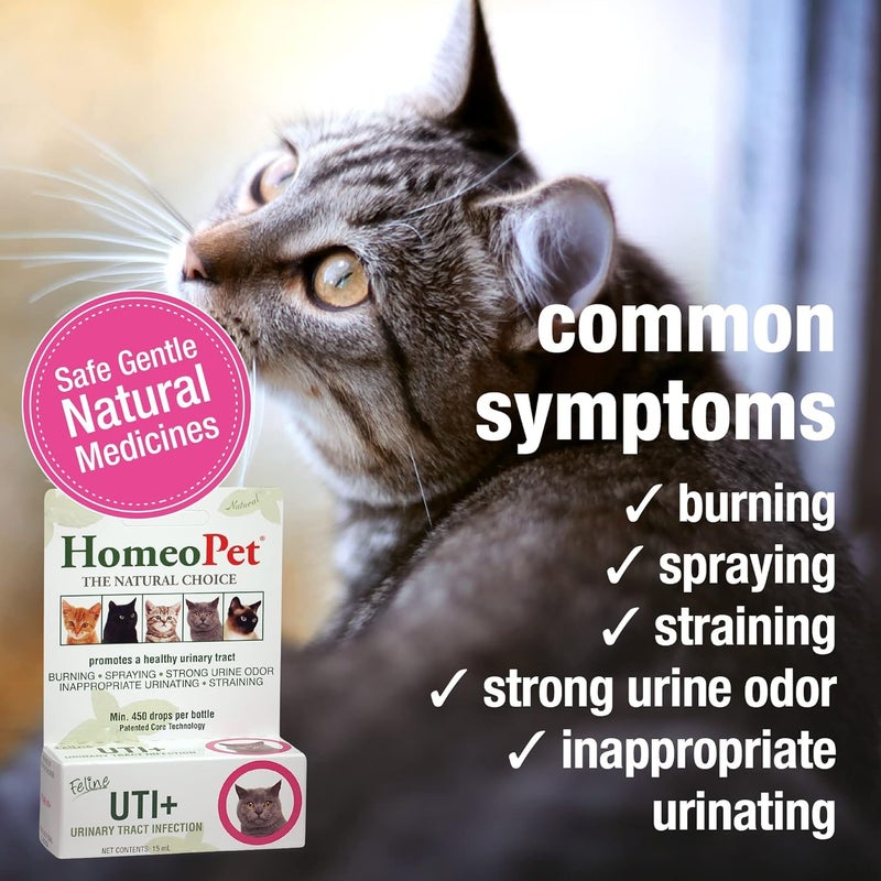 HomeoPet Feline UTI Plus, Safe and Natural Urinary Tract Medicine for Cats, Feline Urinary Tract Support, 15 Milliliters - Pack of 2 - Image 3