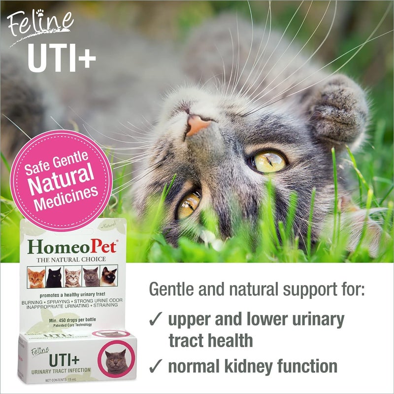 HomeoPet Feline UTI Plus, Safe and Natural Urinary Tract Medicine for Cats, Feline Urinary Tract Support, 15 Milliliters - Pack of 2 - Image 2