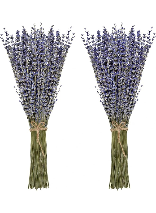 The Bros Natural Dried Lavender Flowers for Home Decoration (Pack of 2) - Image 1