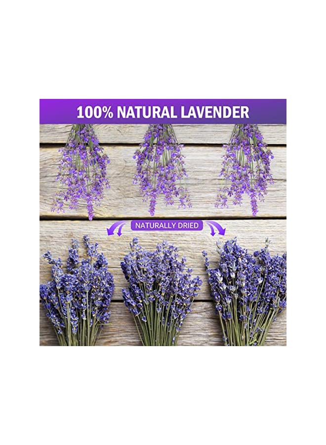 The Bros Natural Dried Lavender Flowers for Home Decoration (Pack of 2) - Image 2