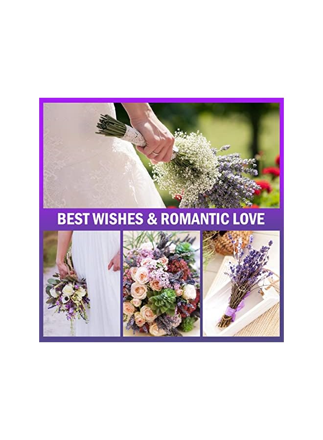 The Bros Natural Dried Lavender Flowers for Home Decoration (Pack of 2) - Image 4