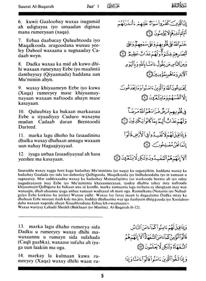 The Holy Quran and the translation of its meanings into the Somali language, edition of the King Fahd Complex in Medina, medium size, size 14*21 - Image 5