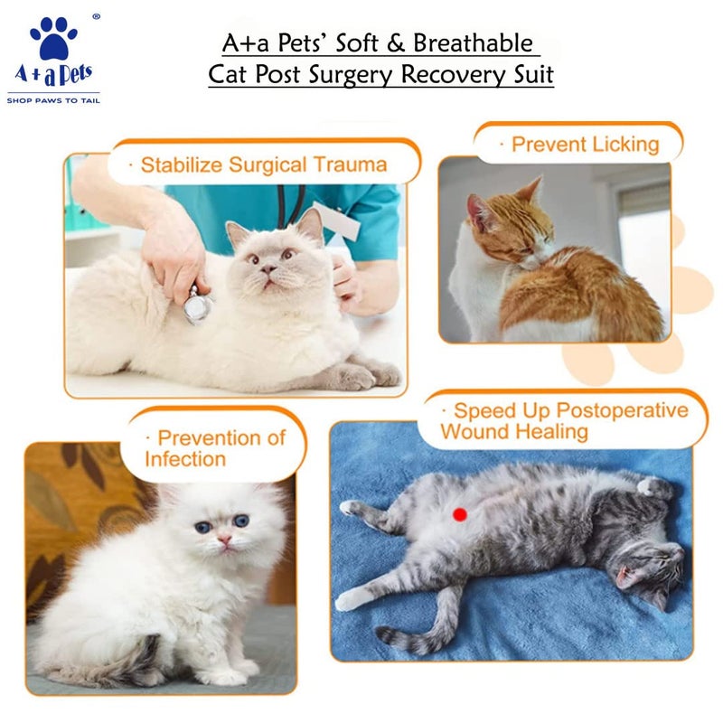 A+a Pets ' Cat Everyday Clothing, for Post Surgery Recovery, Abdominal Wounds or Skin Diseases | Breathable Cotton (L, Solid) - Image 3