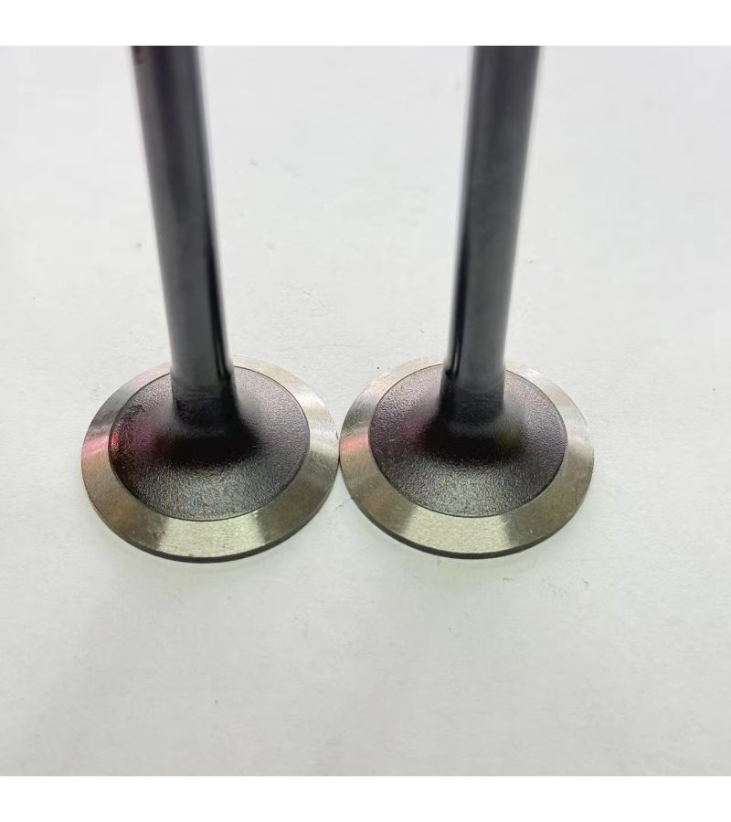 Intake Valve For Yanmar 4tnv94 Engine Replace 129907 11100 - Image 2