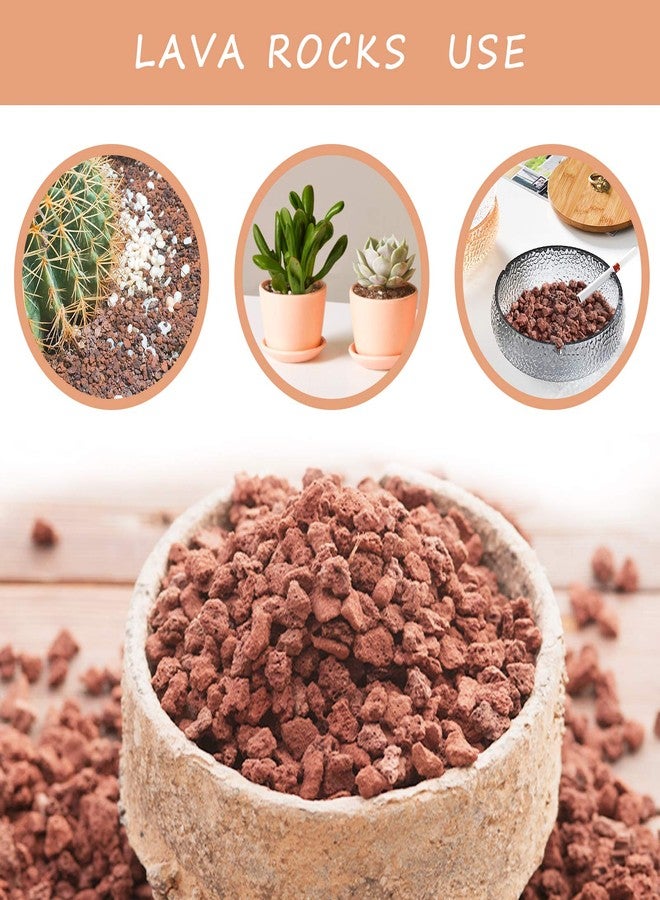 صخور الحمم البركانية الحمراء من كاروربودي للنباتات - صخور بركانية نقية 100%، بدون أصباغ أو مواد كيميائية - أفضل أحجار الحمم البركانية لتغطية سطح نباتات الصبار والنباتات العصارية وأشجار البونساي - Image 5