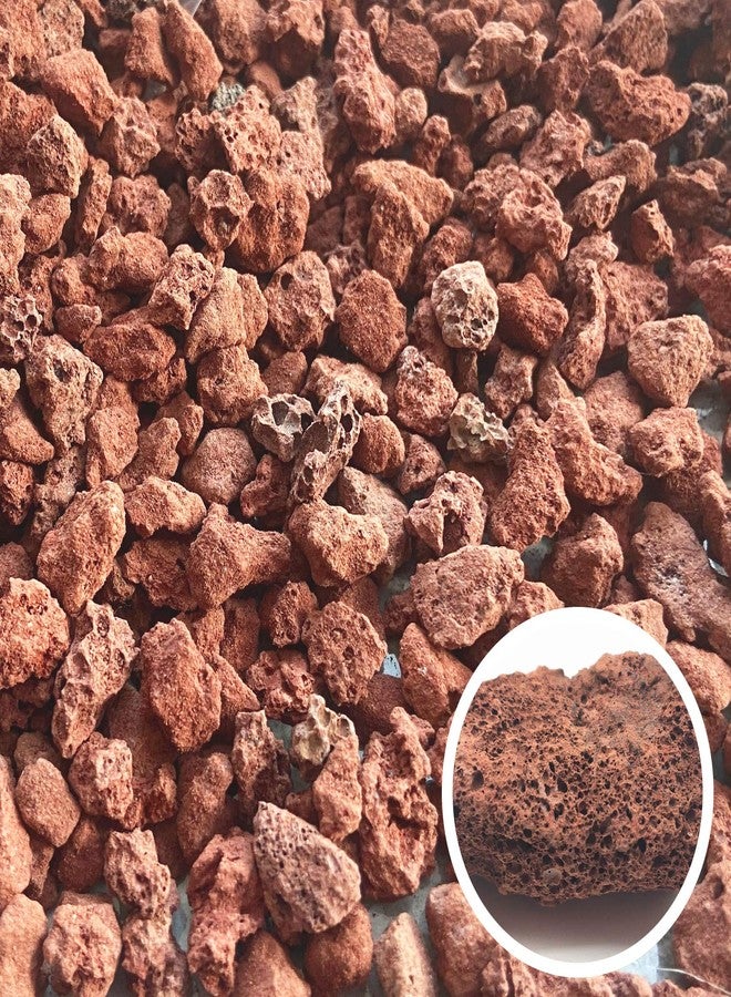 صخور الحمم البركانية الحمراء من كاروربودي للنباتات - صخور بركانية نقية 100%، بدون أصباغ أو مواد كيميائية - أفضل أحجار الحمم البركانية لتغطية سطح نباتات الصبار والنباتات العصارية وأشجار البونساي - Image 2