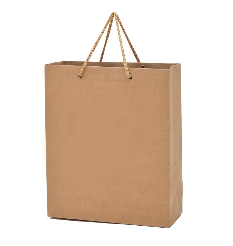PPJ PLAIN BROWN CRAFT 10 PCS PAPER CARRY BAG 10 Inch X 12 Inch X 4 Inch for DIWALIWEDDINGFUNCTIONBIRTHDAYRETURN GIFTSCHRISTMASSHOPPINGGIFTINGGIFT BAGSGIFT COVERS Pack of 10