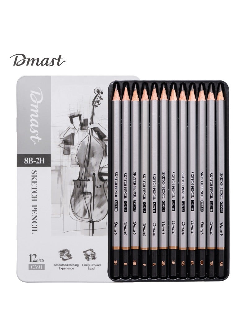 Dmast Deli EC391 Sketch Pencil Set 12pcs (2H-8B) Black - ideal for professional sketching and drawing - Image 1