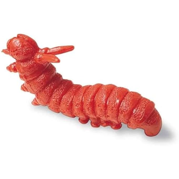 SET OF 72 | BACKYARD BUGS™ COUNTERS | EDUCATIONAL SORTING AND COUNTING TOY | INCLUDES GRASSHOPPER, BUMBLEBEE, BEETLE, SPIDER, DRAGONFLY, AND CATERPILLAR - Image 4