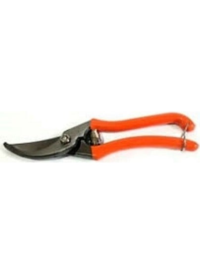 R-29 Vineyard Scissors (Plastic Handle) - pzsku/Z9235EDDB3448F8AB34F7Z/45/_/1737311077/69393869-689c-43d6-86dd-83c5a8e85dd1