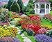 Springbok Flower Garden 500 Piece Puzzle for Adults Featuring a Beautiful Garden in Bloom - Image 2