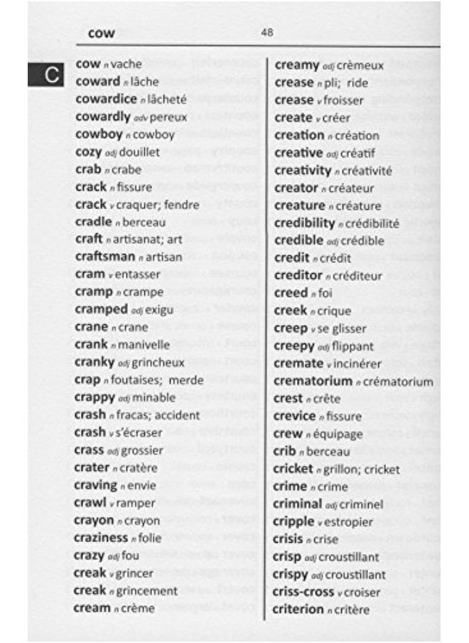English-French & French-English Word-to-Word Dictionary: Maths, Science & Social Studies - Suitable for Exams  - Image 3