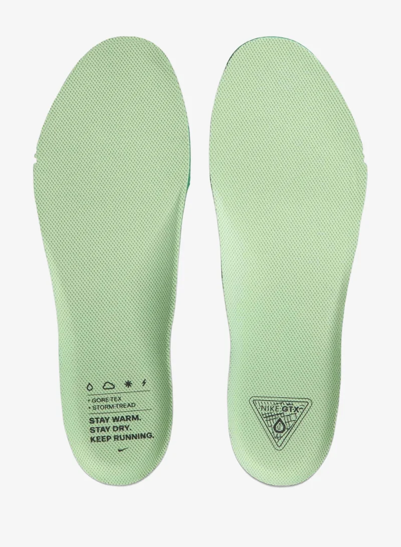 Nike Men's Pegasus 41 GORE-TEX Road Running Shoes