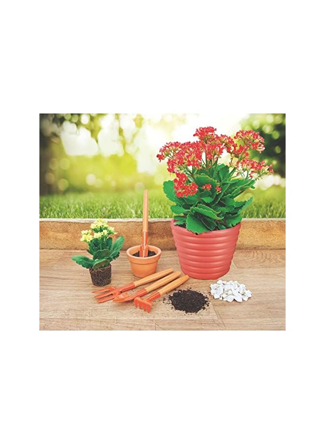 TRAMONTINA Tramontina - 4 Pcs garden tool set wood handles Small size for Indoors gardening Special Carbon Steel and Antioxidation proteccion - Image 3