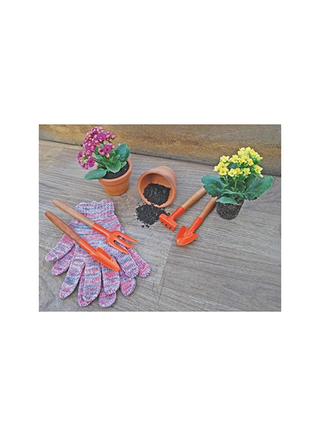 TRAMONTINA Tramontina - 4 Pcs garden tool set wood handles Small size for Indoors gardening Special Carbon Steel and Antioxidation proteccion - Image 4