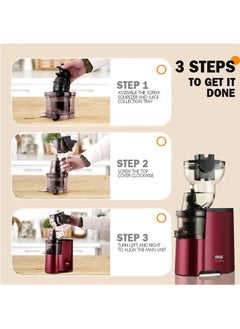 DSP Powerful Whole Fruit Centrifugal Power Fruit and Vegetable Juicer with Jug Juicer machine  - Image 4