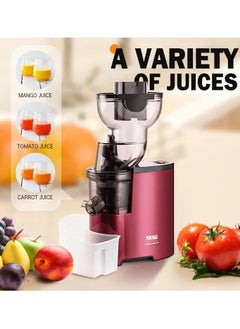 DSP Powerful Whole Fruit Centrifugal Power Fruit and Vegetable Juicer with Jug Juicer machine  - Image 3