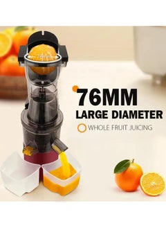 DSP Powerful Whole Fruit Centrifugal Power Fruit and Vegetable Juicer with Jug Juicer machine  - Image 2