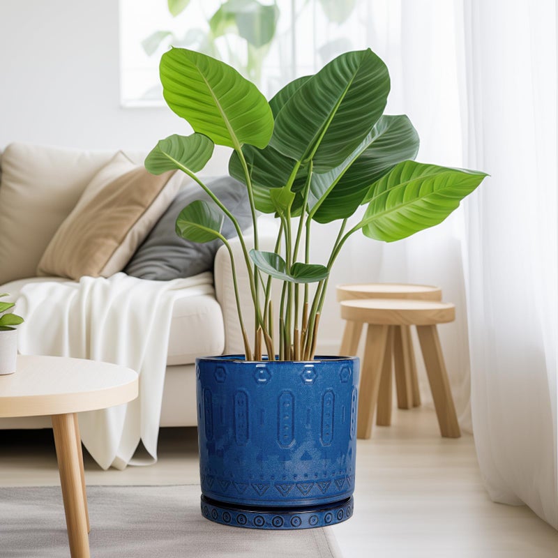 Eightpot 10 Inch Plant Pot - Ceramic Planter Outdoor Plant Pot Indoor with Drainage Holes and Saucer Large Flower Pot Round Decorative Planter for Garden Patio Decor Blue - Image 5