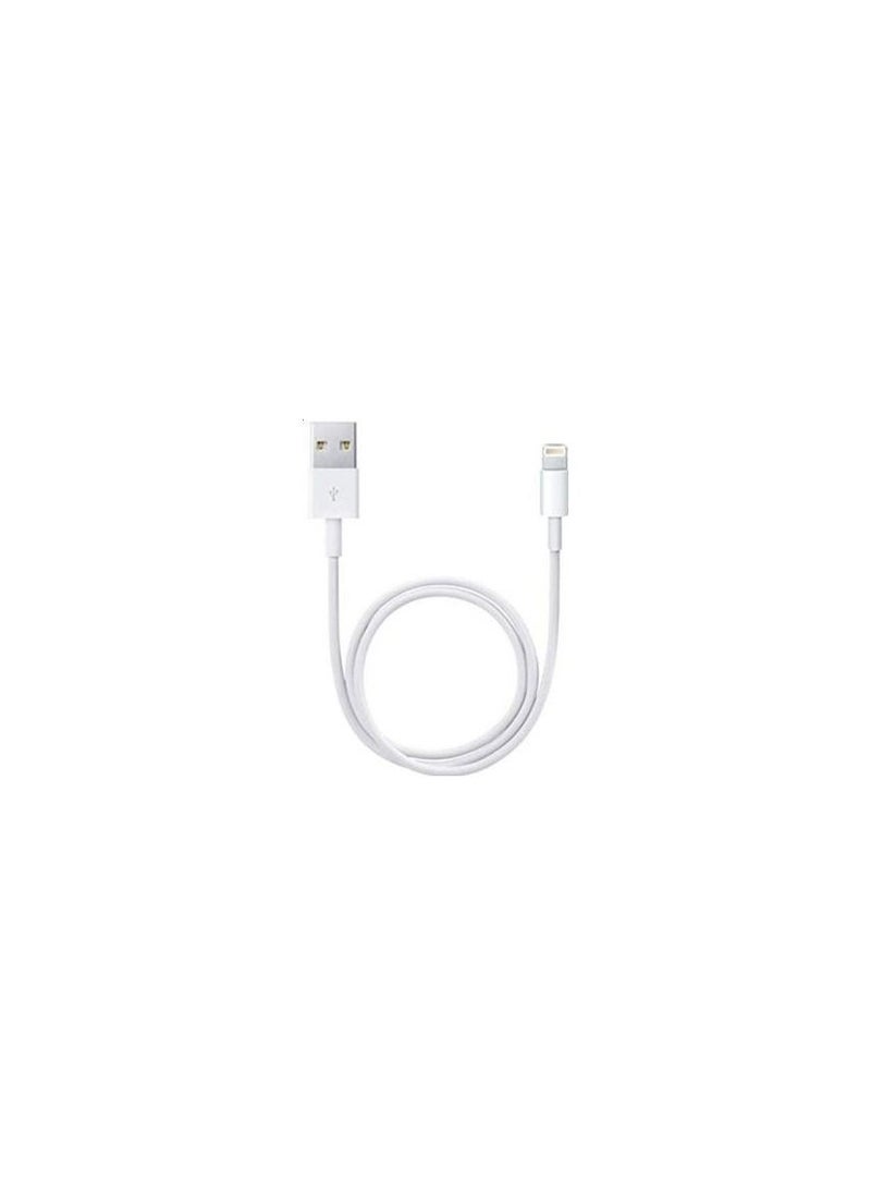 Foxcon Iphone usb A to Lightning cable  1M 