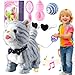 HCdoujoy Gray Leash Walking Cat Set Toy Interactive Talking Cat Singing Dancing Kitten Mimicking Repeat What You Say Kitty Touch and Voice Control Nodding Wagging Tail Plush Electric Robot for Kid Girl - Image 2