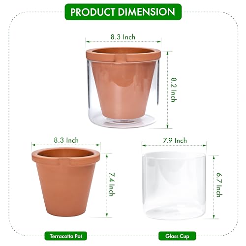 D'vine Dev 8 Inch Design Self Watering Pot for Indoor Plants, Terracotta Planter with Cylinder Glass Cup, 37-X-C-1 - Image 2