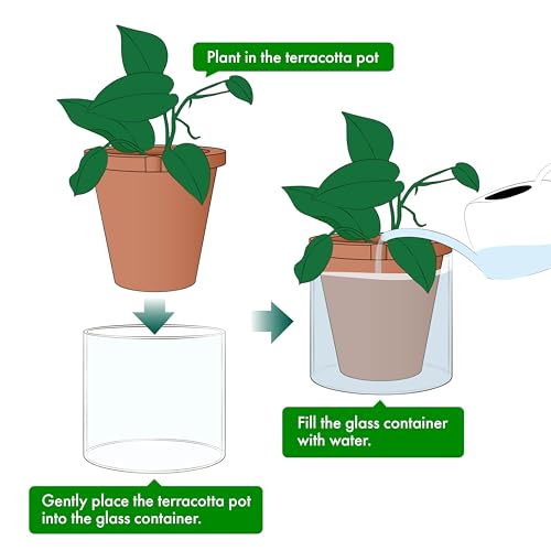 D'vine Dev 8 Inch Design Self Watering Pot for Indoor Plants, Terracotta Planter with Cylinder Glass Cup, 37-X-C-1 - Image 4